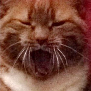 Meet your Posher, Aaron